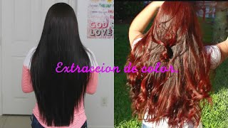 ♦como Hacer EXTRACCION COLOR  montaje De MECHAS sin DAÑAR el CABELLO TUTORIAL COMPLETO [upl. by Arral]