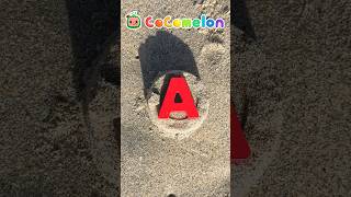 Learn ABCs at the Beach Easy DIY Lessons cocomelon shorts [upl. by Clement807]