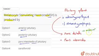 Melanocyte Stimulating HormoneMSH is produced by [upl. by Alimat]