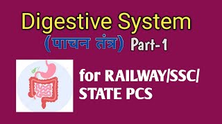 Digestive system of human bodyRailwaySSC BiologyDigestive system in hindiRailway biology class [upl. by Portia]