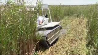 Marsh Master MM2C Cutting Phragmites [upl. by Gisser687]