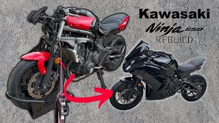 WRECKED Bike Rebuild  Kawasaki Ninja 650 Complete Build [upl. by Sirak888]