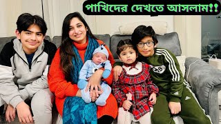 অবশেষে চলেই গেলাম দুইটা পাখিকে দেখতেযাওয়ার আগে কত কাজ করে রেখে যেতে হয় সংসারেJF DISHA VLOGS [upl. by Inava]