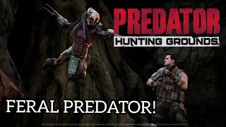 FERAL PREDATOR Predator Hunting Grounds Gameplay [upl. by Accire298]