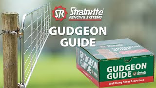 Strainrite  Gudgeon Guide [upl. by Nolyad]