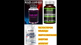 ЭГДЕСТЕРОН RAD 140 ALPHA TEST [upl. by Arick]