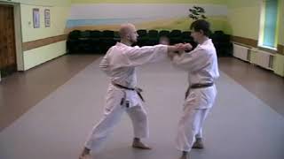 Wankan kata effective bunkai 1 [upl. by Sonstrom97]