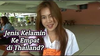 JENIS KELAMIN KE EMPAT DI THAILAND [upl. by Nnywg]