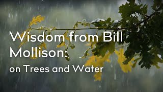 Mollison on Trees and Water [upl. by Eiliab]