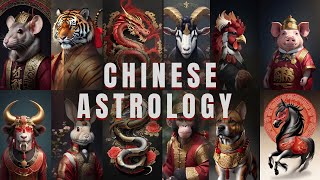 The 12 chinese zodiac signs 🌒🪧 [upl. by Pokorny]