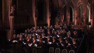 Barber  AGNUS DEI arr Adagio for Strings  Laurens Symfonisch  LIVE [upl. by Eecyac276]