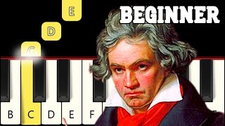 Für Elise  Very Easy Piano tutorial  Beginner [upl. by Sass]