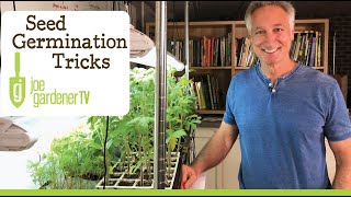 Seed Germination  Easy Tricks for More Success [upl. by Bryner]