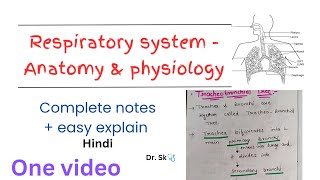 Complete Respiratory System  Anatomy amp Physiology notes in one video  hindi  easy explanation [upl. by Nahtanha]