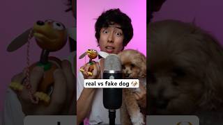 real vs fake dog 🐶 asmr [upl. by Archer]