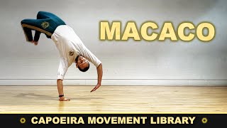 Macaco  CAPOEIRA MOVEMENT LIBRARY [upl. by Derwin]