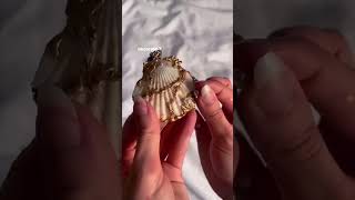 Diy seashell necklace diy aesthic craft trendingshorts [upl. by Pero744]