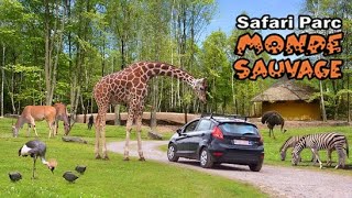 Safari Park Monde Sauvage  Belgium [upl. by Xantha]