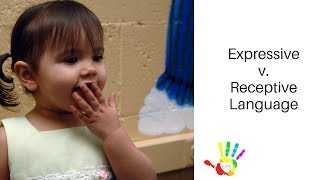 Receptive versus Expressive Language [upl. by Carlotta]