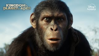 Kingdom of the Planet of the Apes  Official Tamil Promo  DisneyPlus Hotstar [upl. by Derr]