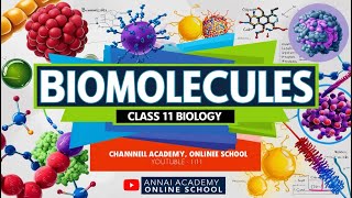 Biomolecules Decoded Unlocking Class 11 Biology [upl. by Liggett256]