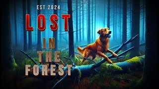 The Lost Dog In The Forest  Short Story [upl. by Demetra]