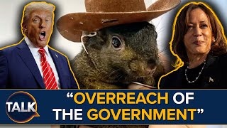 Why Has ‘Peanut’ The Squirrel Become An Online Sensation Ahead Of US Election [upl. by Borg]