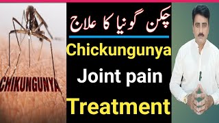 chickungunya Ka illaj in Urdu Hindi Chikungunya Joint pain Treatmentchikungunya jointpain bp [upl. by Ire]