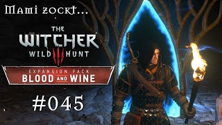 The Witcher 3 Blood and Wine 045  Was auf Burg Mont Crane geschah NGPC [upl. by Merc820]