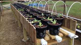 Hybrid Rain Gutter Grow System Step by Step Final Ep [upl. by Drawde155]