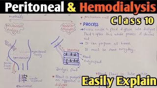 Dialysis  Peritoneal And Hemodialysis  Class 10 Biology [upl. by Lira]