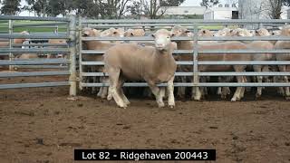 Lot 82  Ridgehaven 200443 [upl. by Lewap]