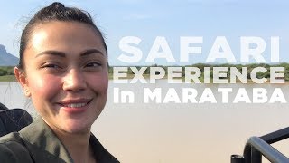 Safari Experience in Marataba  Jodi Sta Maria [upl. by Ahsyat372]