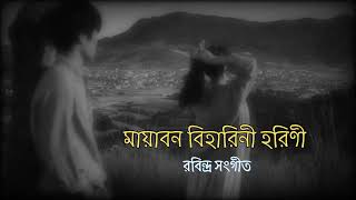 Mayabono Biharini  মায়াবন বিহারিনী  রবীন্দ্র সংগীত  Somlota  Music ReMake [upl. by Jeralee]