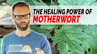 Motherworts Impact on Mental and Physical Health [upl. by Martres83]