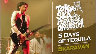 Tokyo Ska Paradise Orchestra  5 days of tequila  Skaravan Pre fiesta Non Stop Ska 2019 [upl. by Riordan]