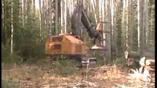 Tigercat 860C Feller Buncher cutting Poplar trees Hudson Hope BC [upl. by Hulburt764]