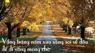 Trái tim mùa thu  Don Hồ lyrics [upl. by Erlond]