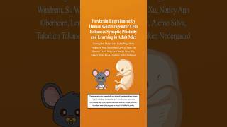 Super Mice With Human Brain Cells [upl. by Hanschen]