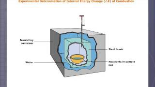 Bomb Calorimeter [upl. by Lucy]