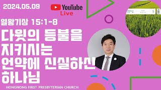 20240509 생명의 삶 QT  열왕기상 강해  새벽기도회  다윗의 등불을 지키시는 언약에 신실하신 하나님  손찬양 담임목사  홍농일교회 LIVE STREAMING [upl. by Isiah426]