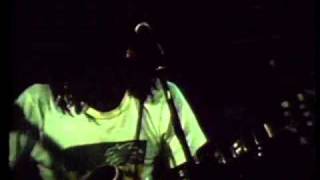 Congos liveJamdownwmv [upl. by Teak62]