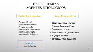 TEÓRICO BACTERIEMIAS  Prof Adjunta Dra Roxana Cannistraci  FCM  UNC [upl. by Cianca8]