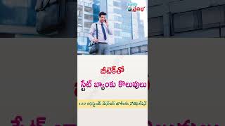 SBI  Specialist Cadre Officer Posts eenadupratibha sbiso sbijobs [upl. by Jansson]