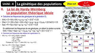 La génétique des populations  Loi de Hardy Weinberg  population idéale شرح بالداريجة [upl. by Eissirhc]