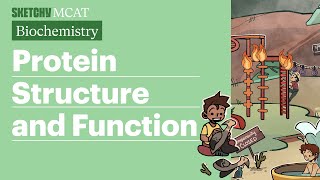 Protein Structure and Function Biochemistry [upl. by Ahtnams]