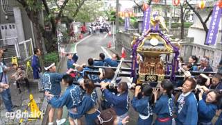 平成28年 葛飾 鎌倉八幡神社例大祭 本社神輿宮出し [upl. by Kopaz]