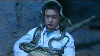 【武俠電影 Wuxia Film】：功夫小夥身中劇毒命不久矣，巨蟒再度來襲竟是為了救他！ ⚔️ 武俠 MMA  Kung Fu [upl. by Kcirdnekel]