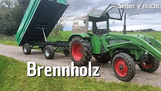 REISCH  Brennholz  Kippen  Einparken Millimeterarbeit [upl. by Euqinehs]