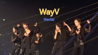 WavY  Nectar 2024 WayV CONCERT ON THE Way IN BANGKOK [upl. by Hume]